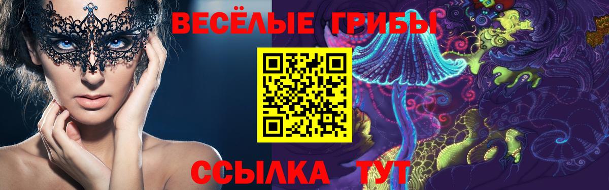 Псилоцибиновые грибы GOLDEN TEACHER Уссурийск