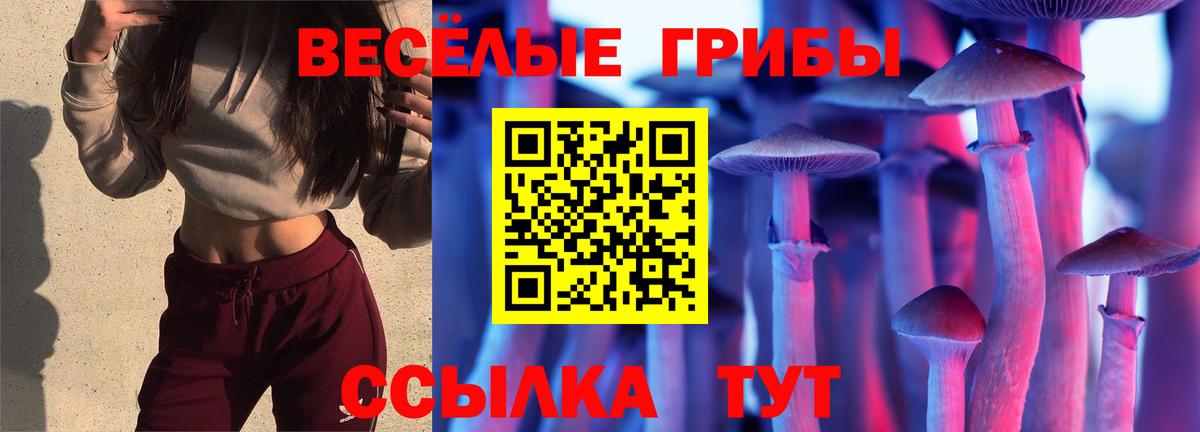 Галлюциногенные грибы мухоморы  Вход с VPN  Уссурийск  Псилоцибиновые грибы прущие грибы 